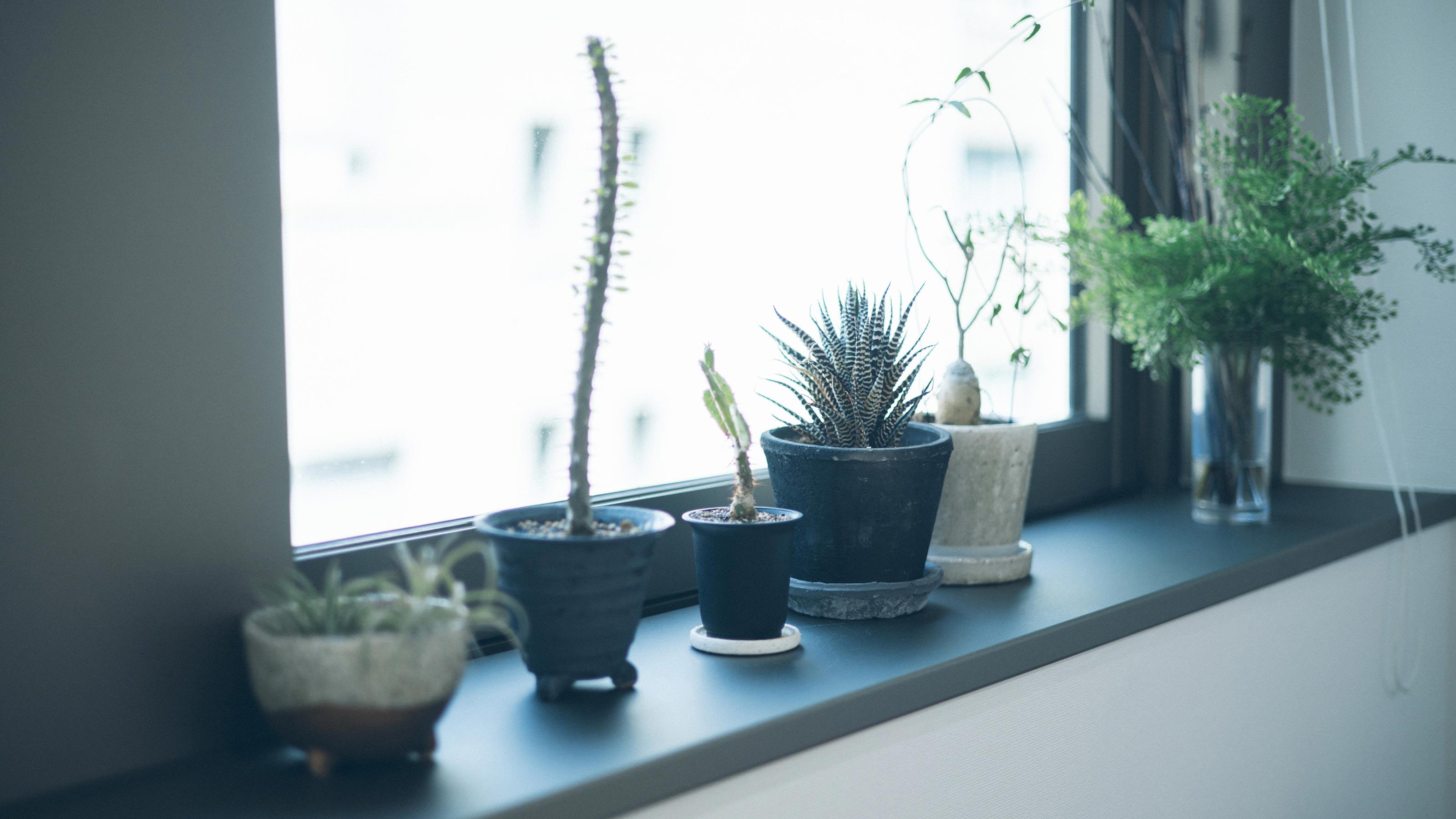 企業トップ画像