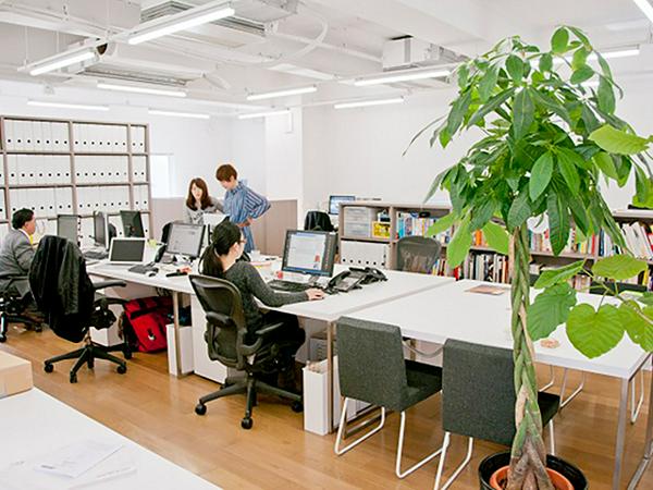 募集している求人：WEB系プログラマ