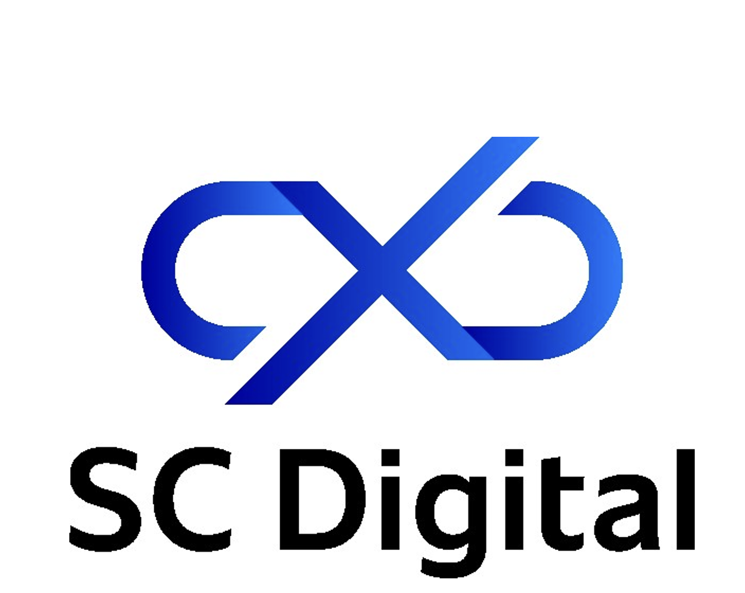 事業内容：DXとCXを融合したデジタルマーケティング