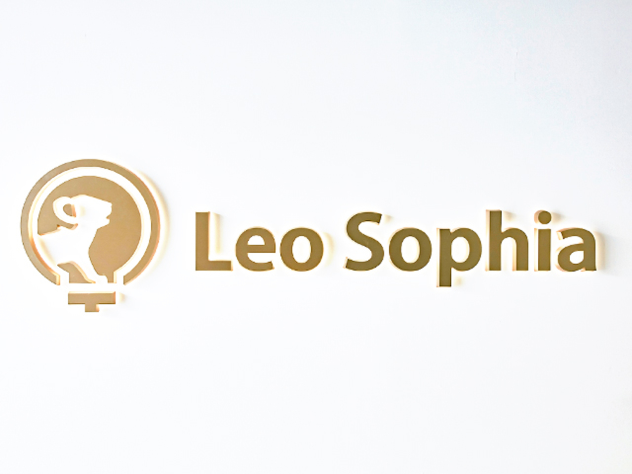 株式会社Leo Sophia Group 求人画像1