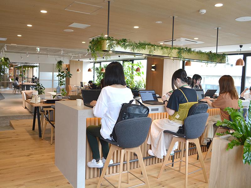 創業7年間で900社以上にのぼるクライアントを支援してきた。