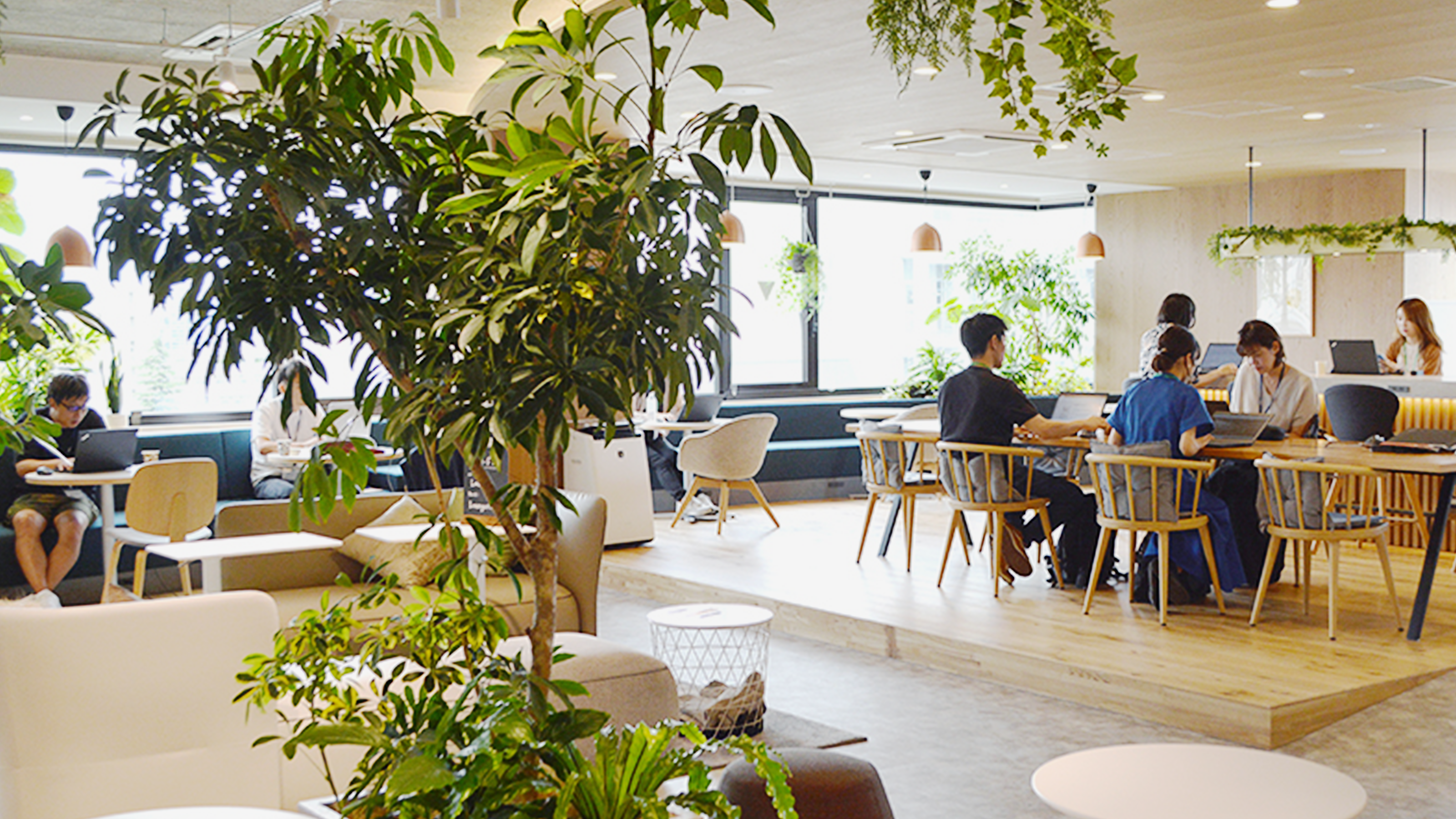 企業トップ画像