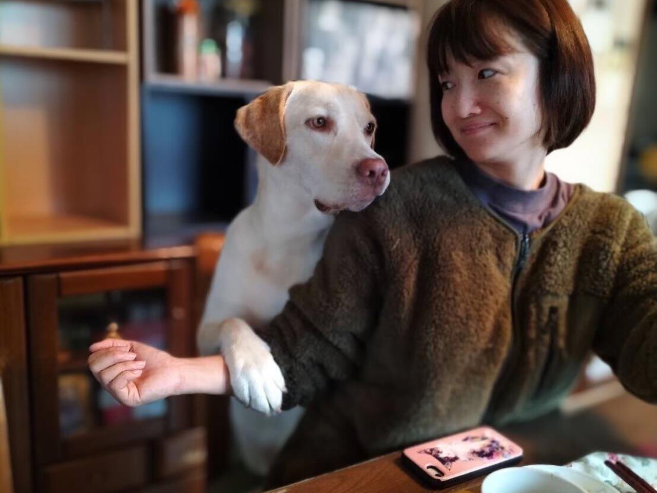 株式会社 アニマライフのイメージ画像2