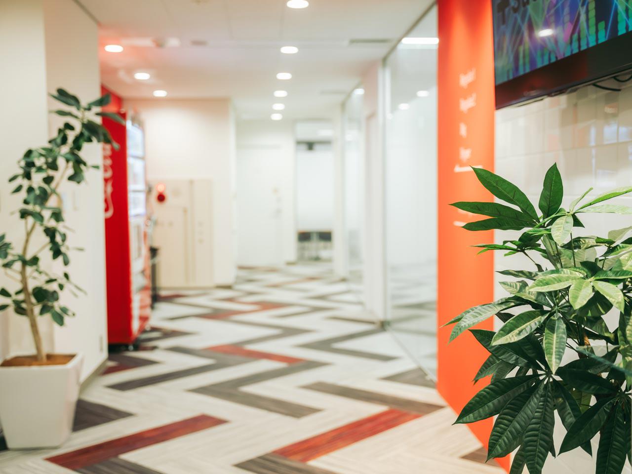 ゲーム開発会社のアミューズメント事業部が分社化し、2022年6月に設立された。
