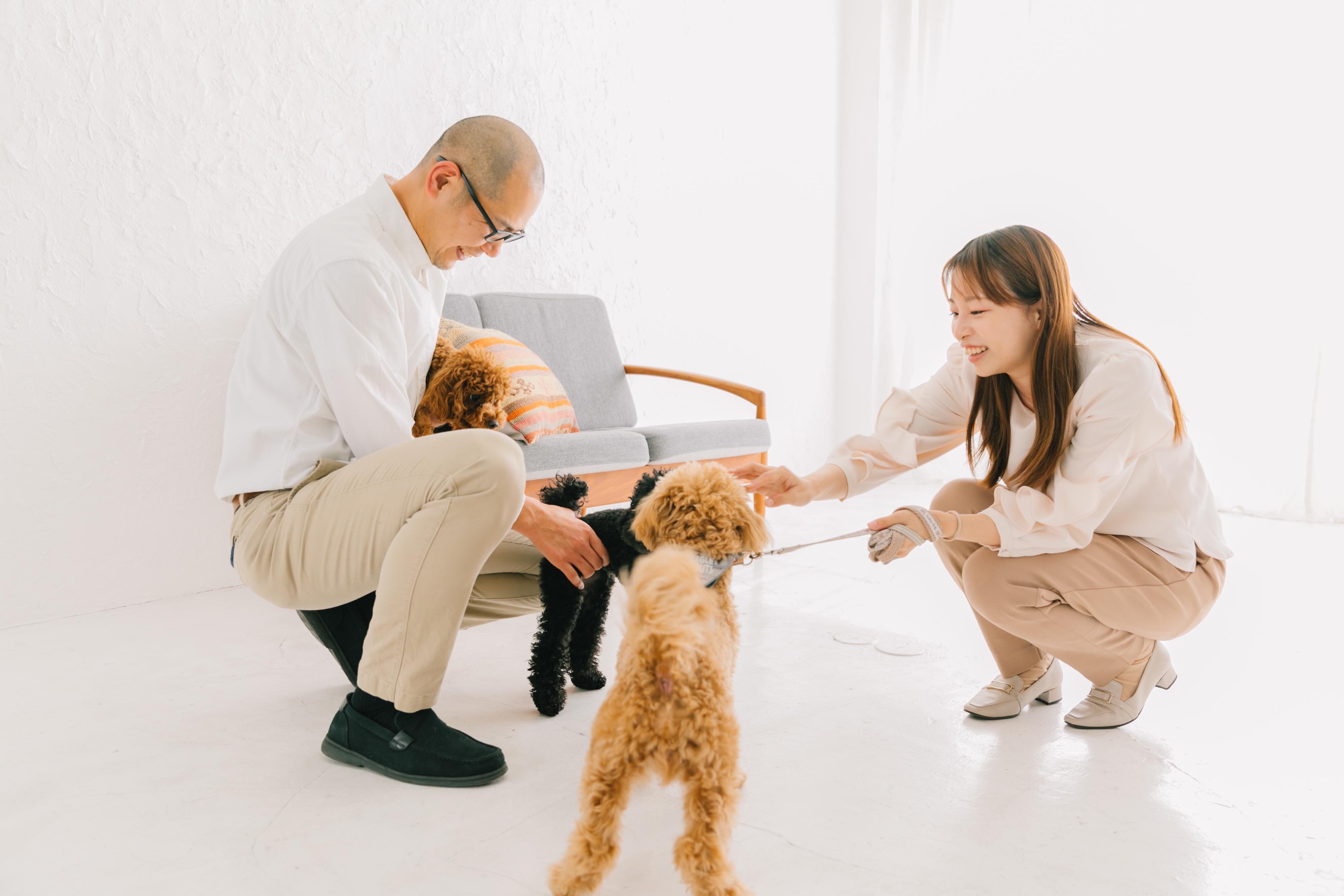 企業トップ画像