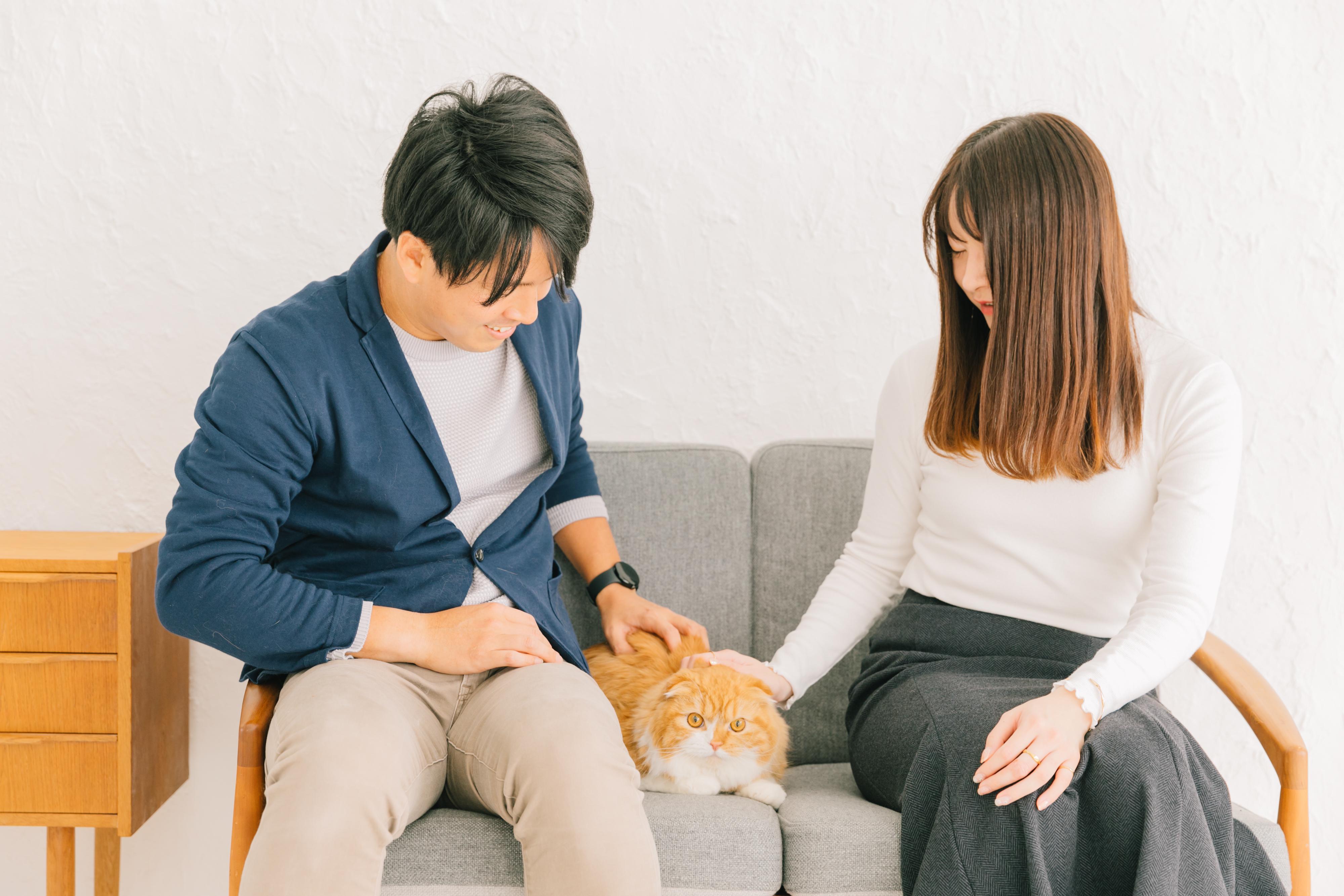 企業トップ画像