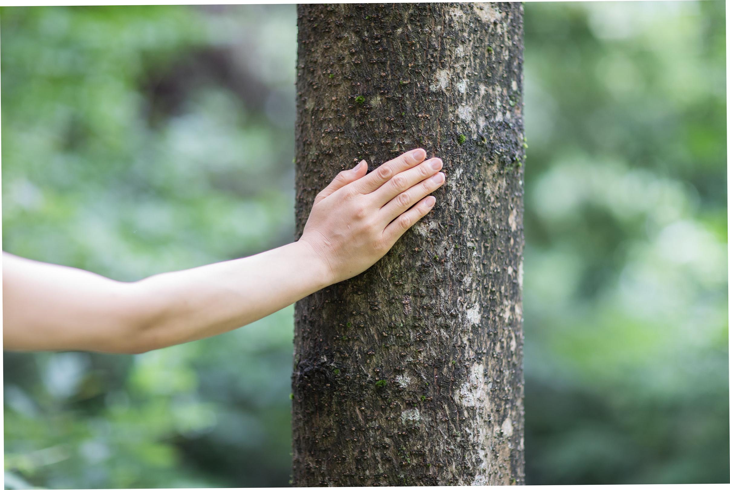 mui Lab 株式会社のイメージ画像2