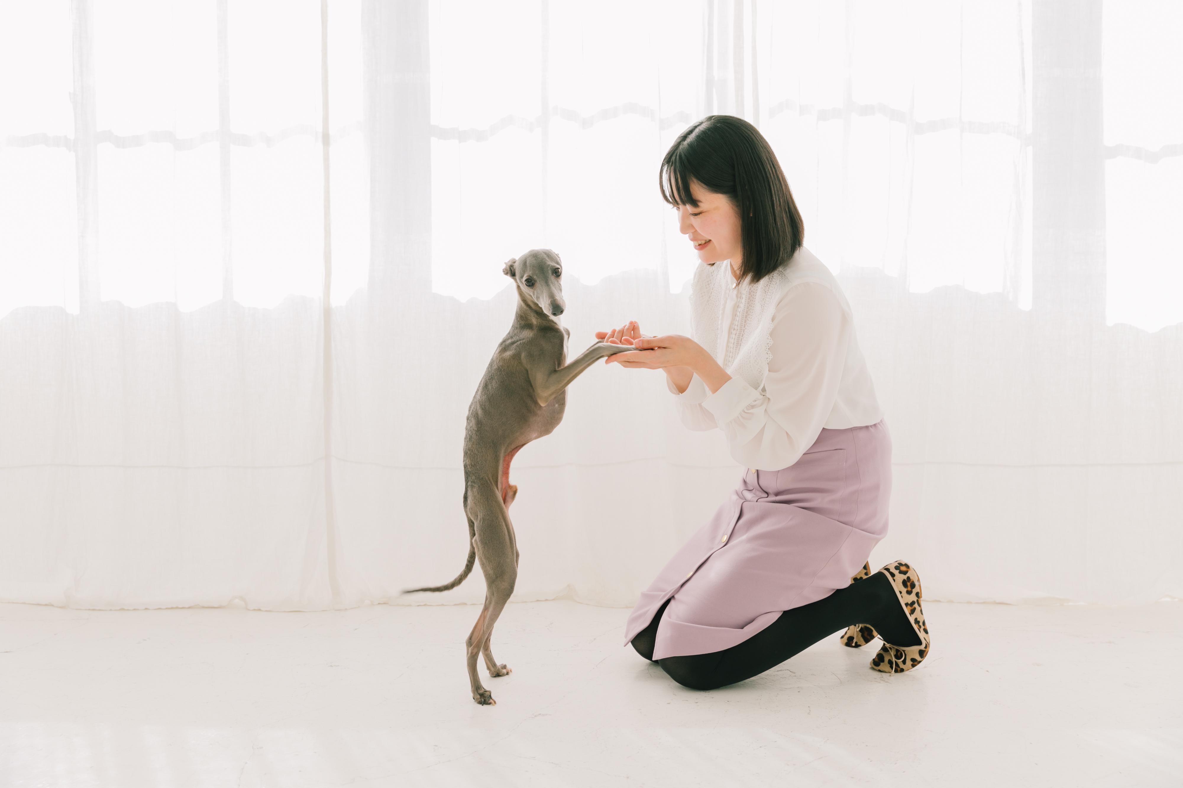 高額なあまり満足な医療を受けさせることができず、うちの子につらい思いをさせてしまった。そんな苦い経験を持つ飼い主も多いのではないだろうか。