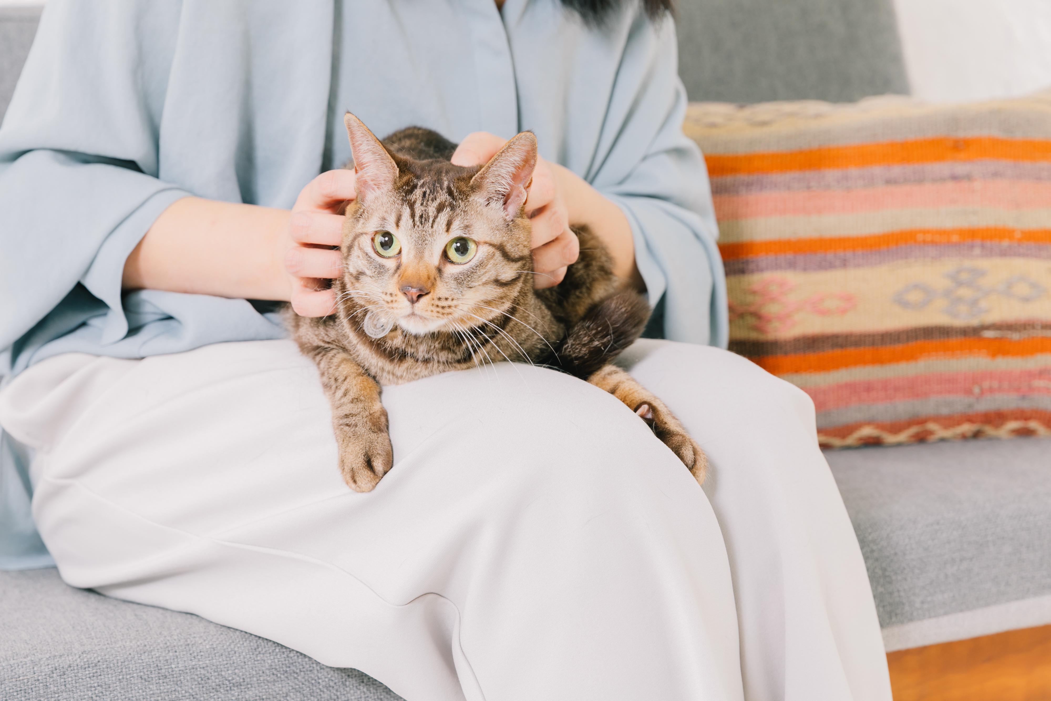 同社では実際にうちの子を迎えているメンバーが多く、一人ひとりが自分事として事業・サービスの発展に向き合っている。