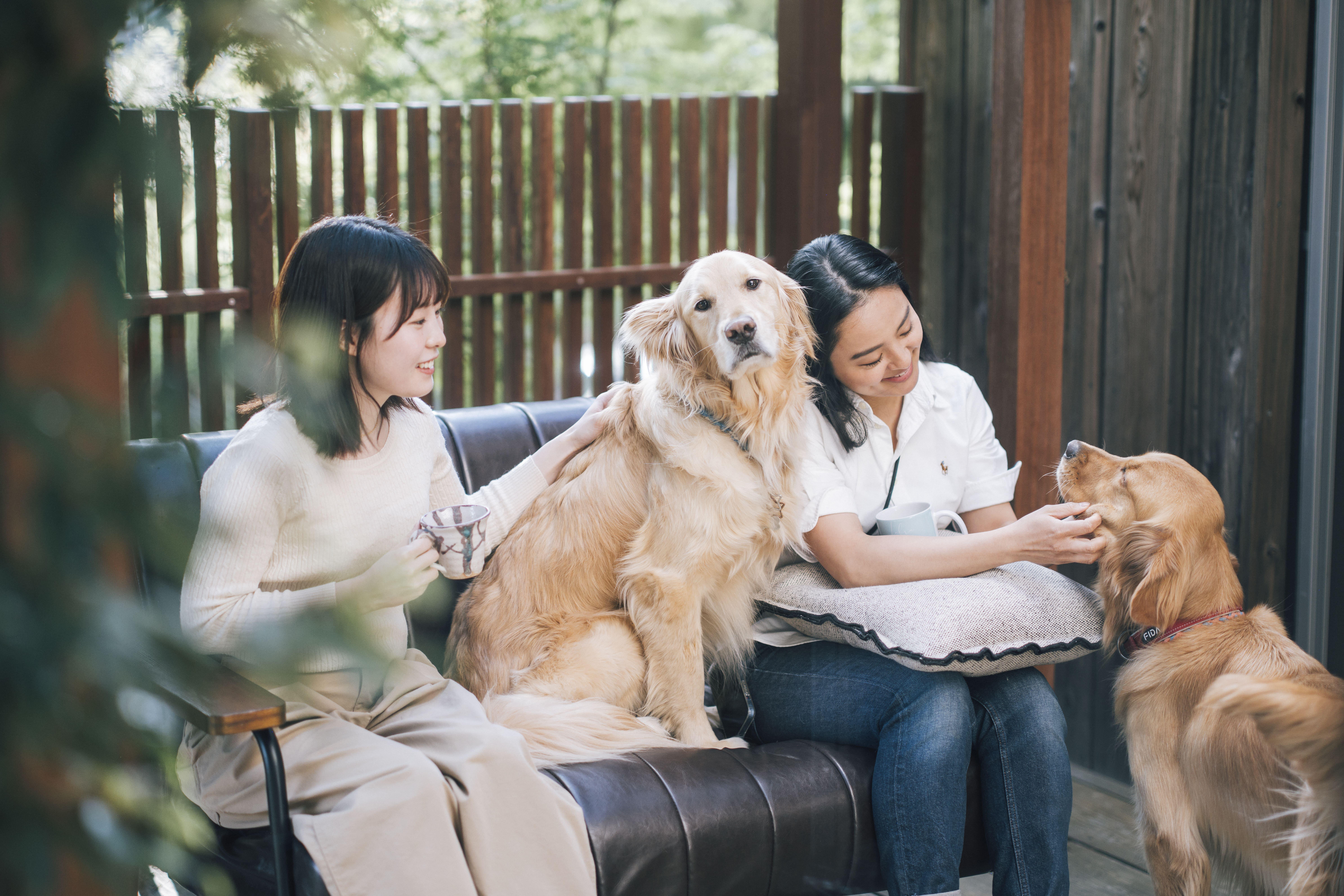 企業トップ画像