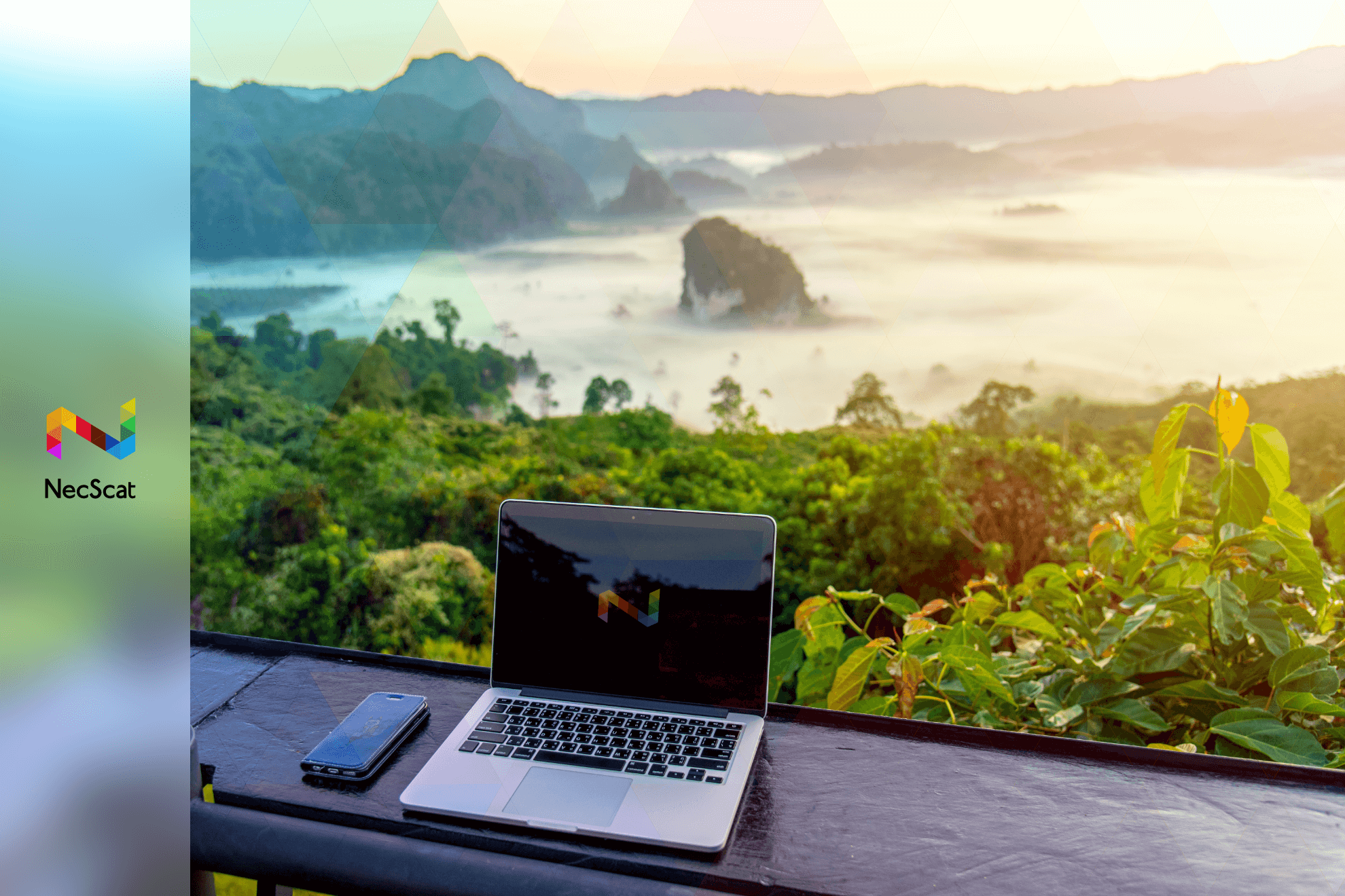 企業トップ画像