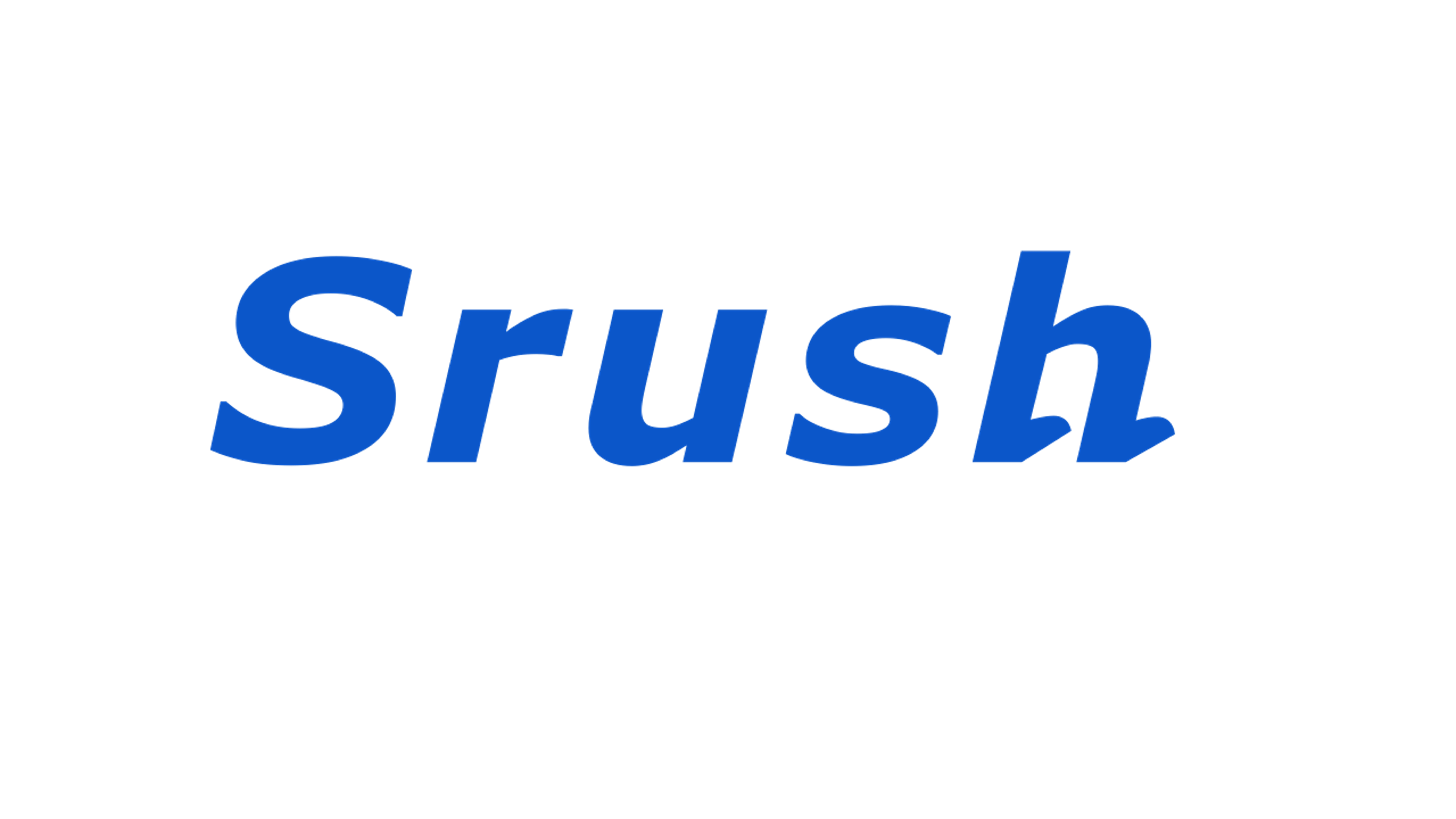 事業内容：Srush AIを軸としたデータ活用支援事業