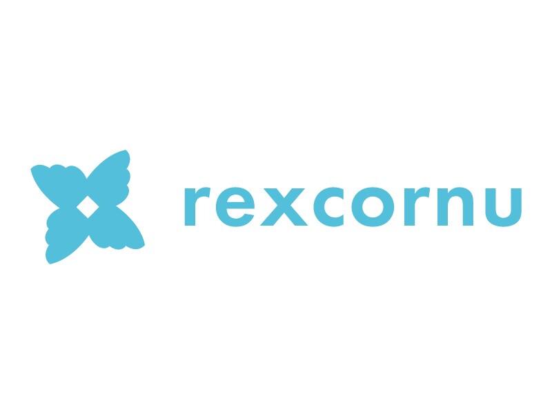 事業内容：FinTechアウトソーシング（SES）事業