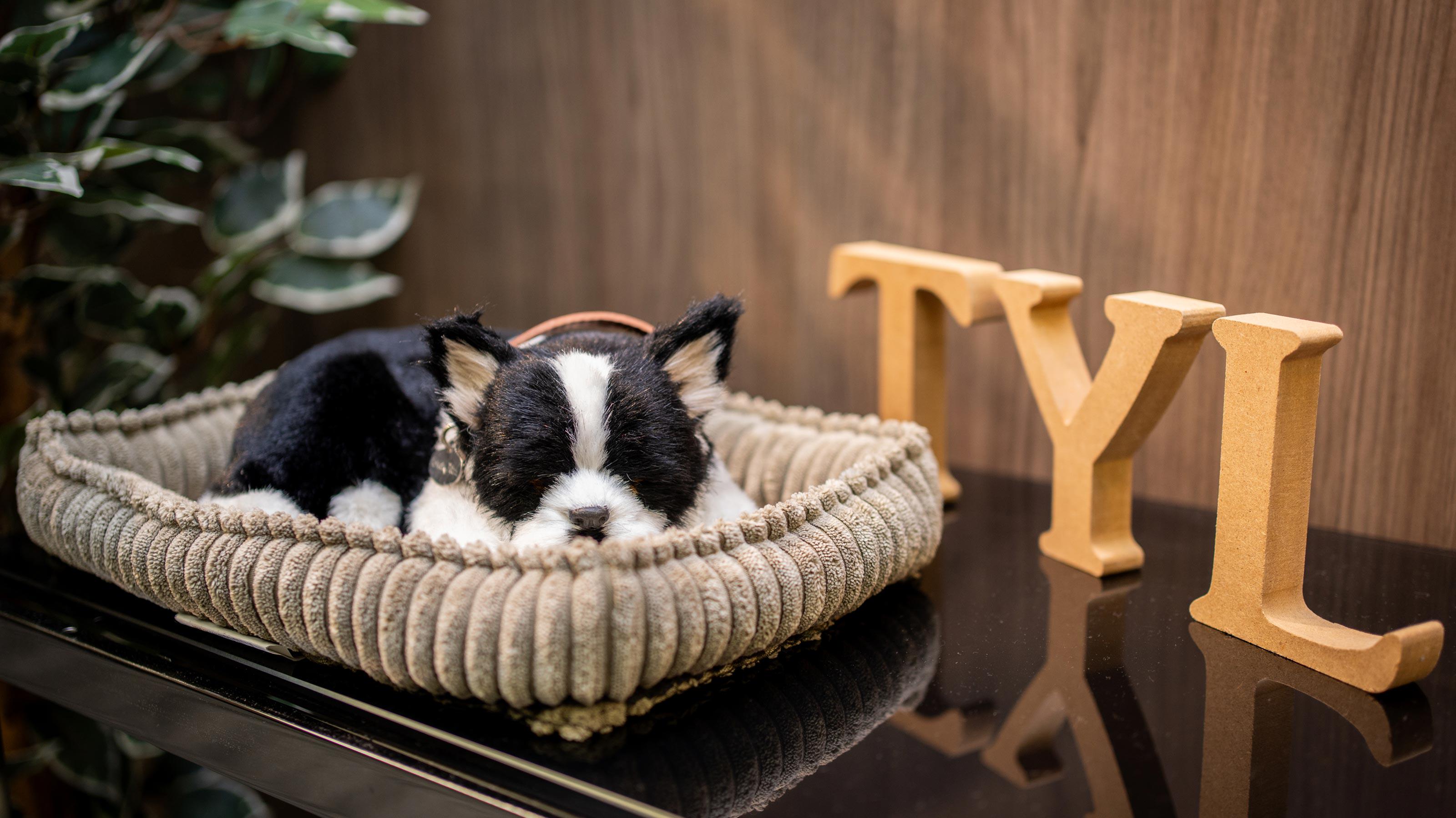 企業トップ画像