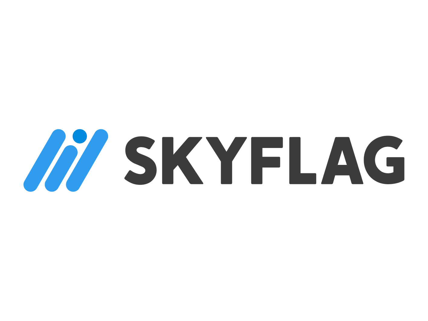 事業内容：広告マネタイズプラットフォーム『SKYFLAG』