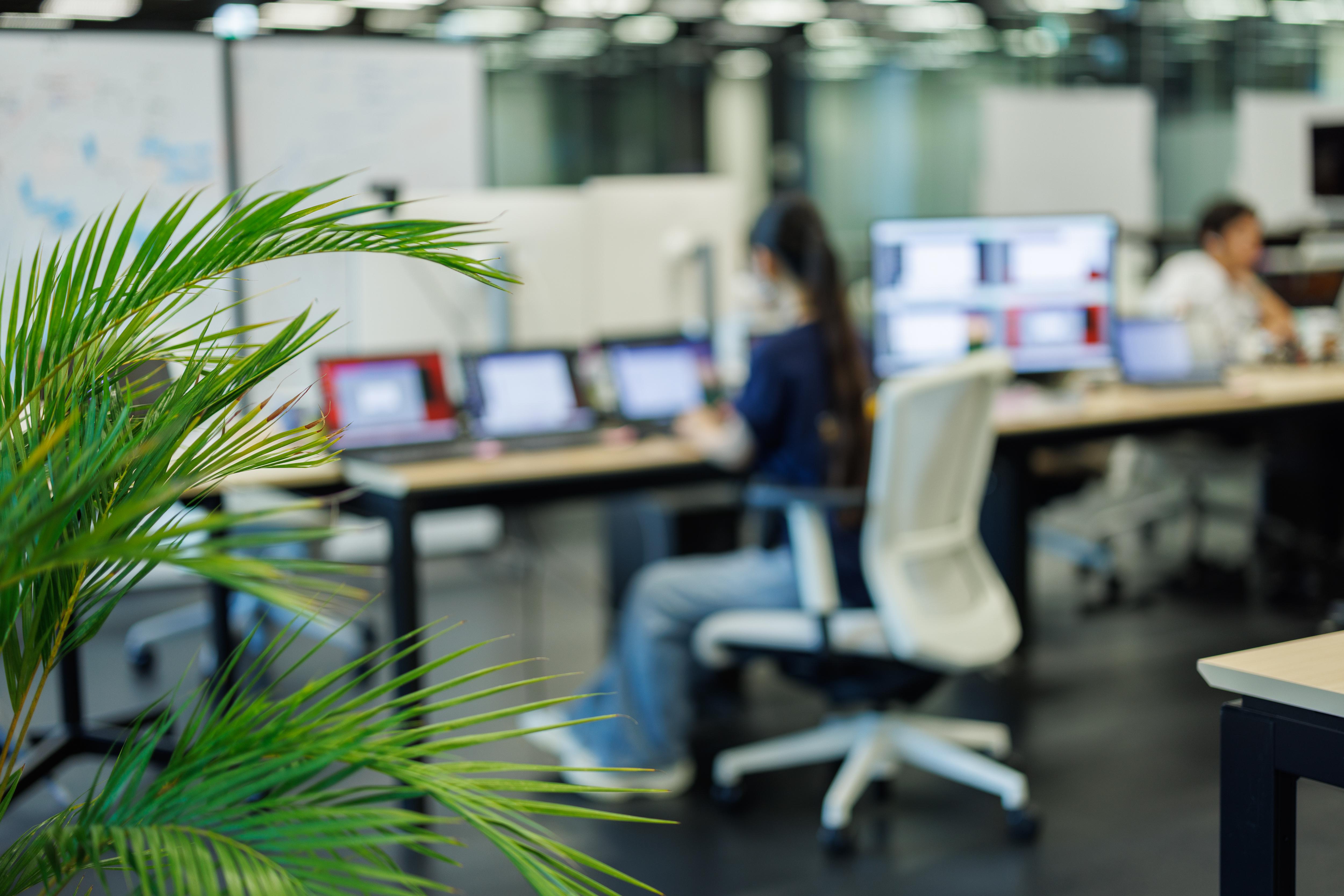 株式会社 PIGNUSのイメージ画像2