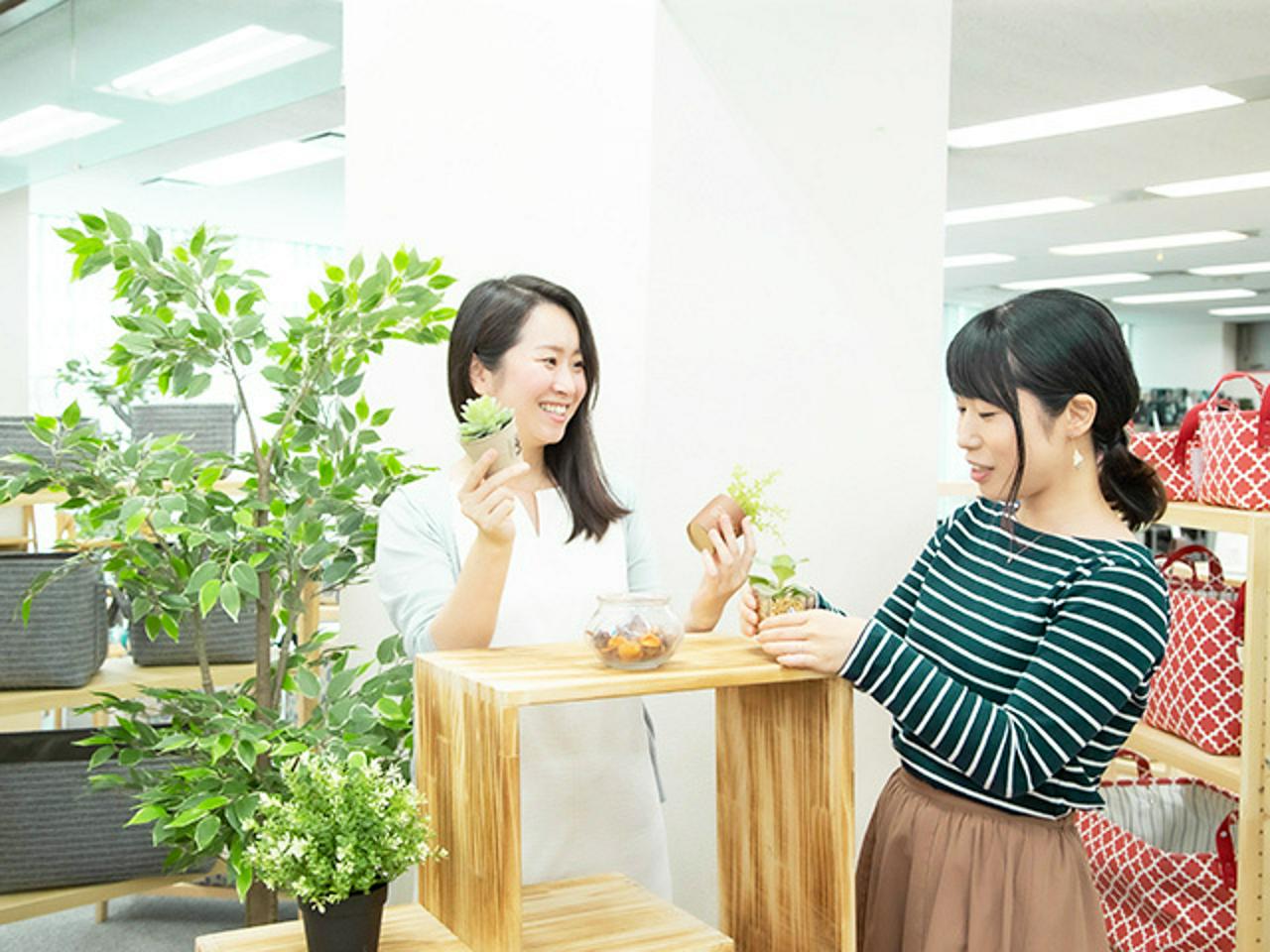 株式会社ドウシシャ 求人画像1