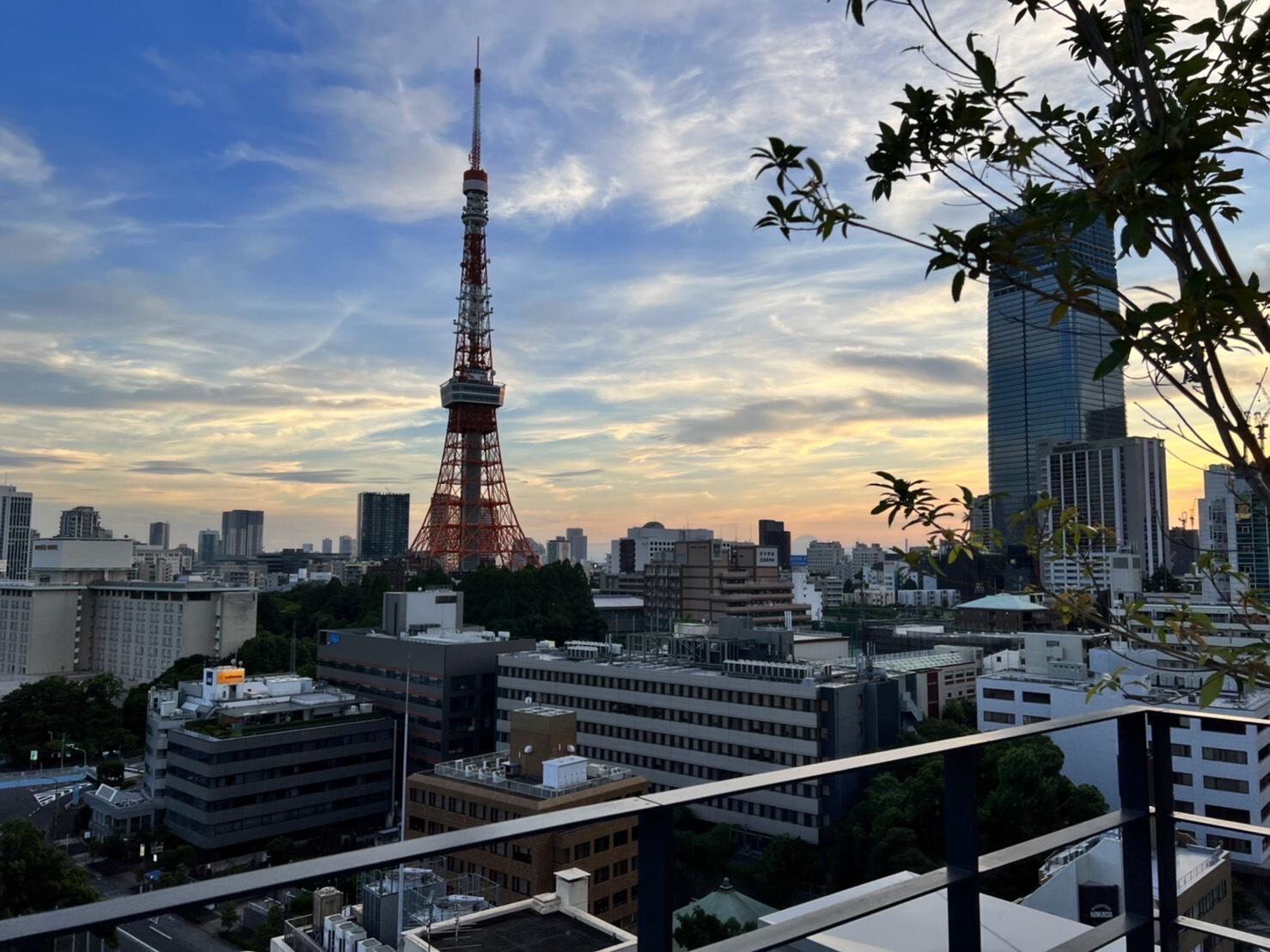 事業内容：SaaS型不動産クラウドファンディングシステム【極楽譲渡】