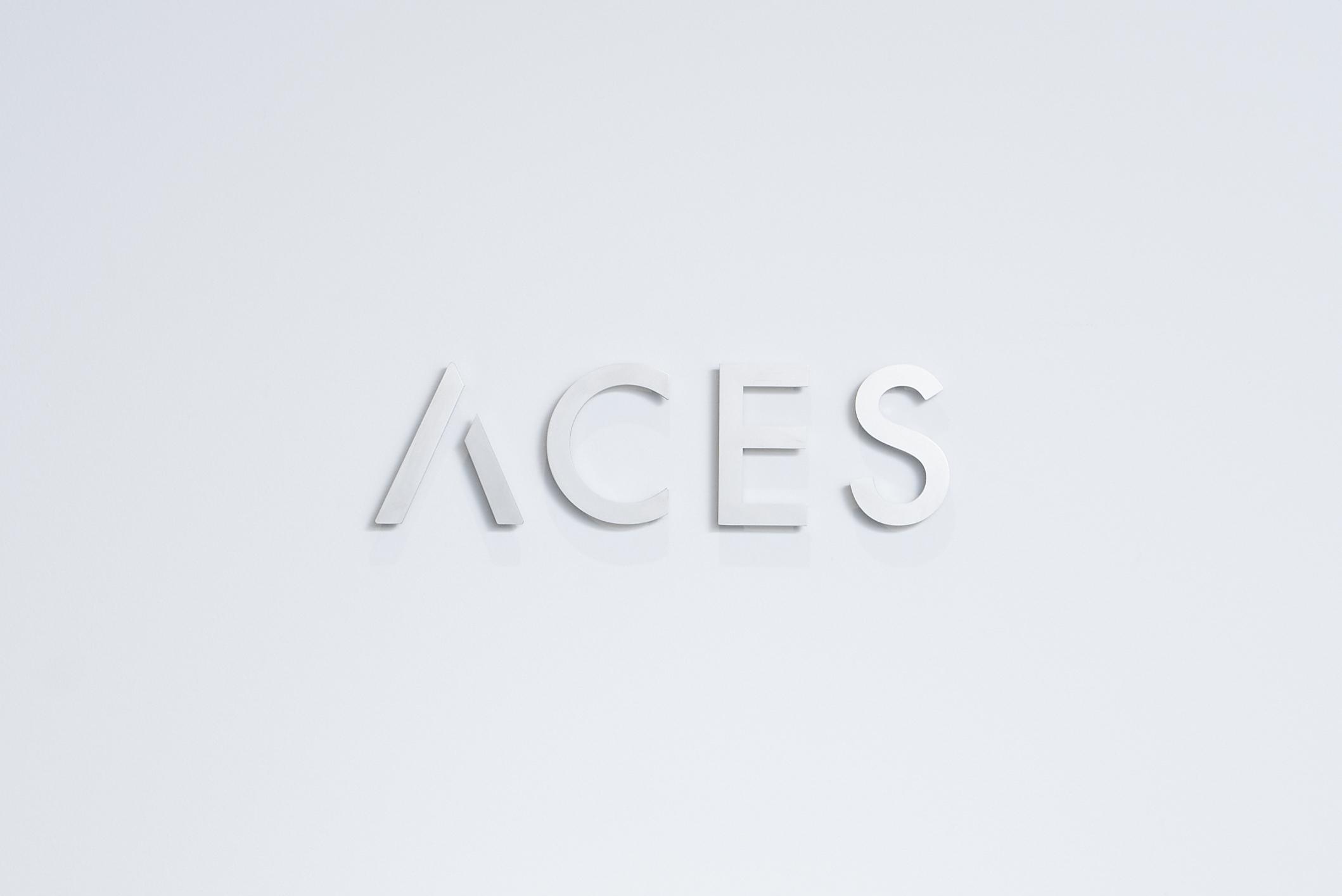 事業内容：営業×AI SaaS『ACES Meet』の開発・提供