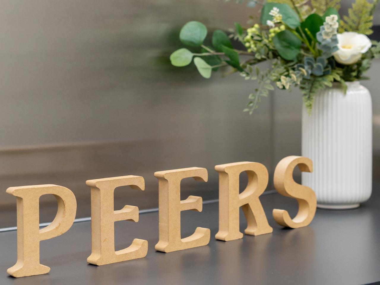 株式会社 ピアズのイメージ画像2