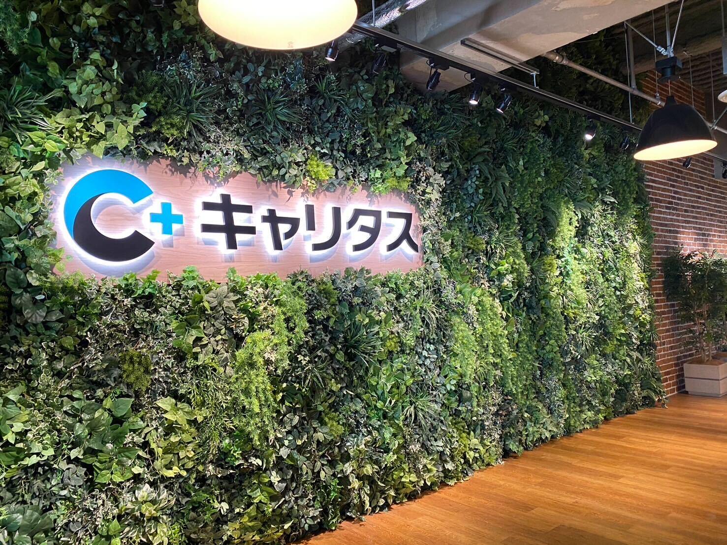 株式会社 キャリタスのイメージ画像1