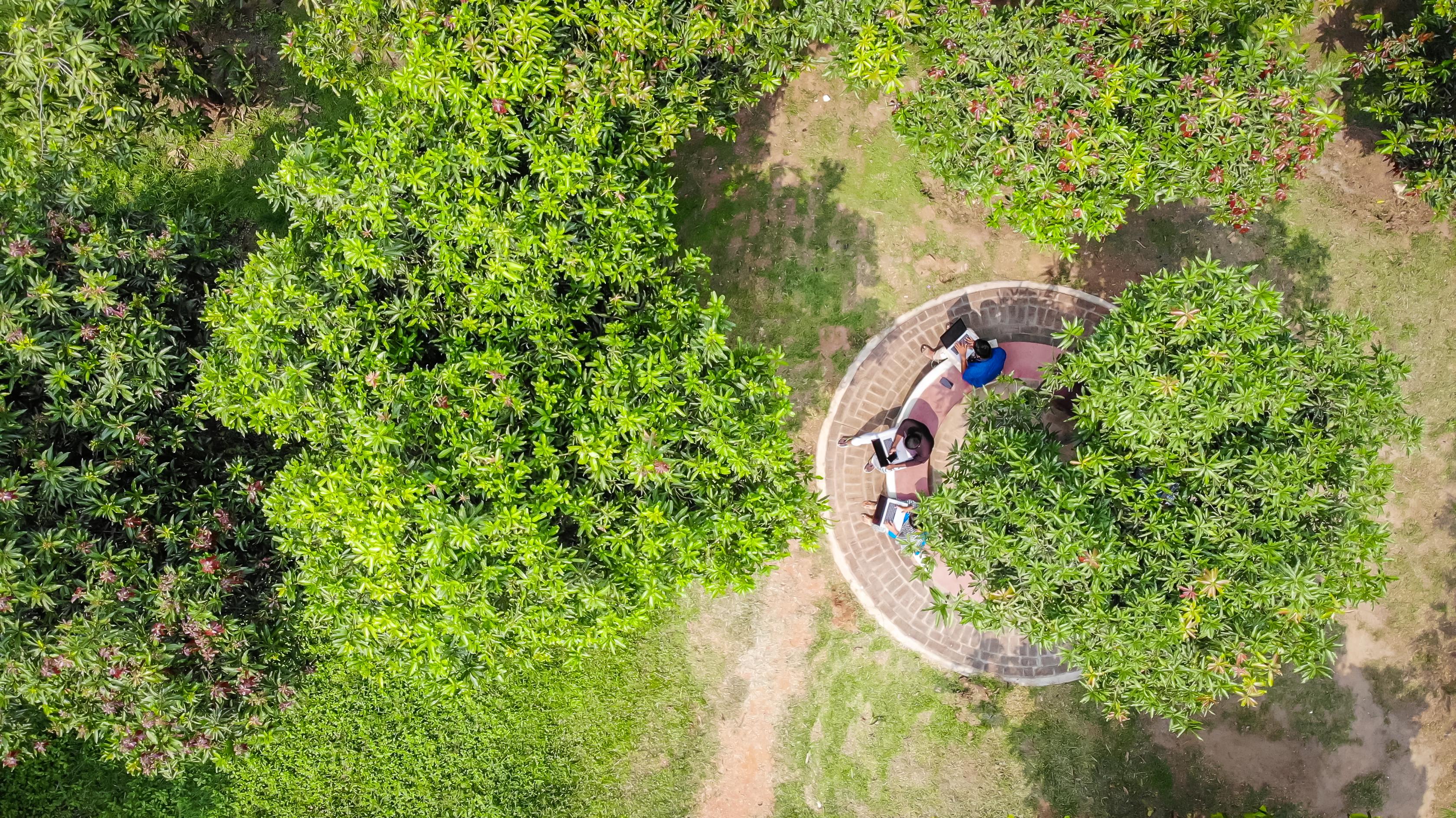 企業トップ画像