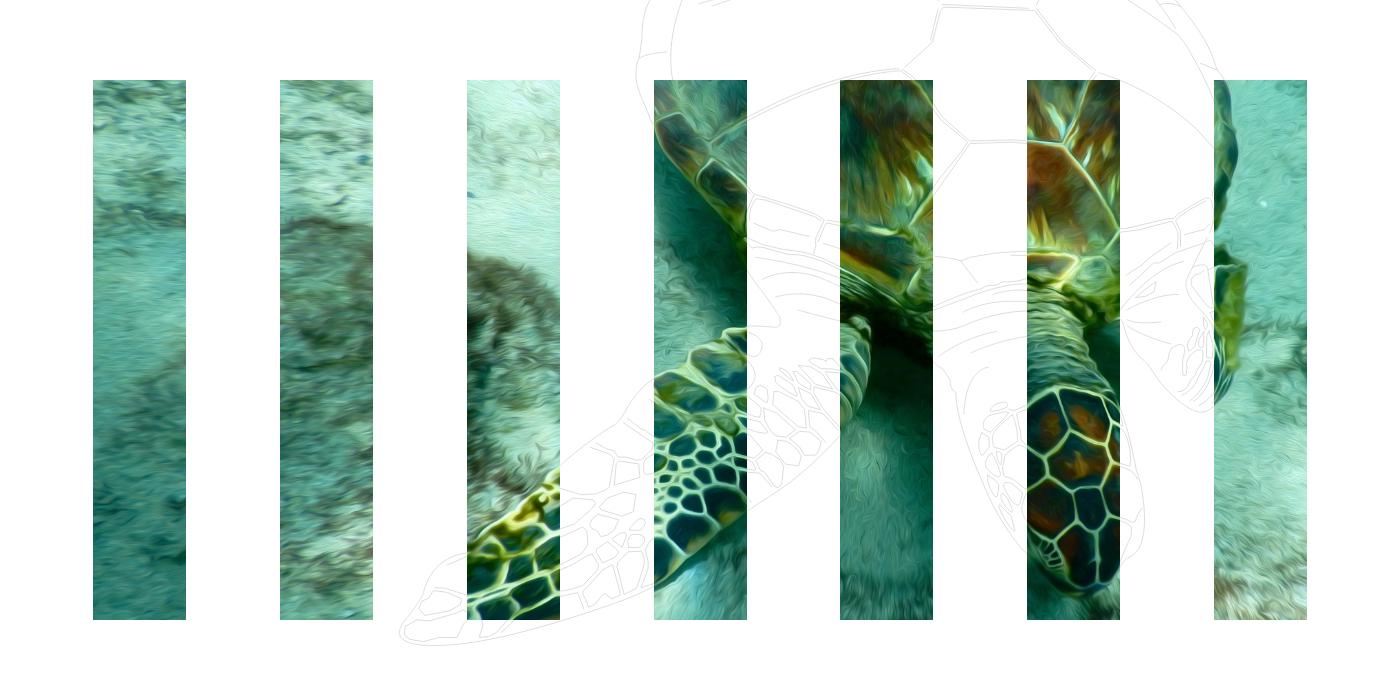 事業内容：クリエイティブで世の中に新たな価値を創造する「メタフェイズ」