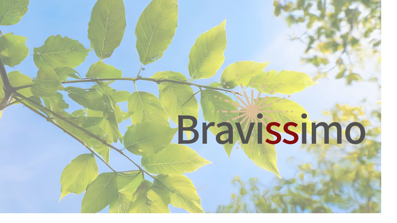 事業内容：Webシステム開発～その日その時の時代にマッチしたサービスを～