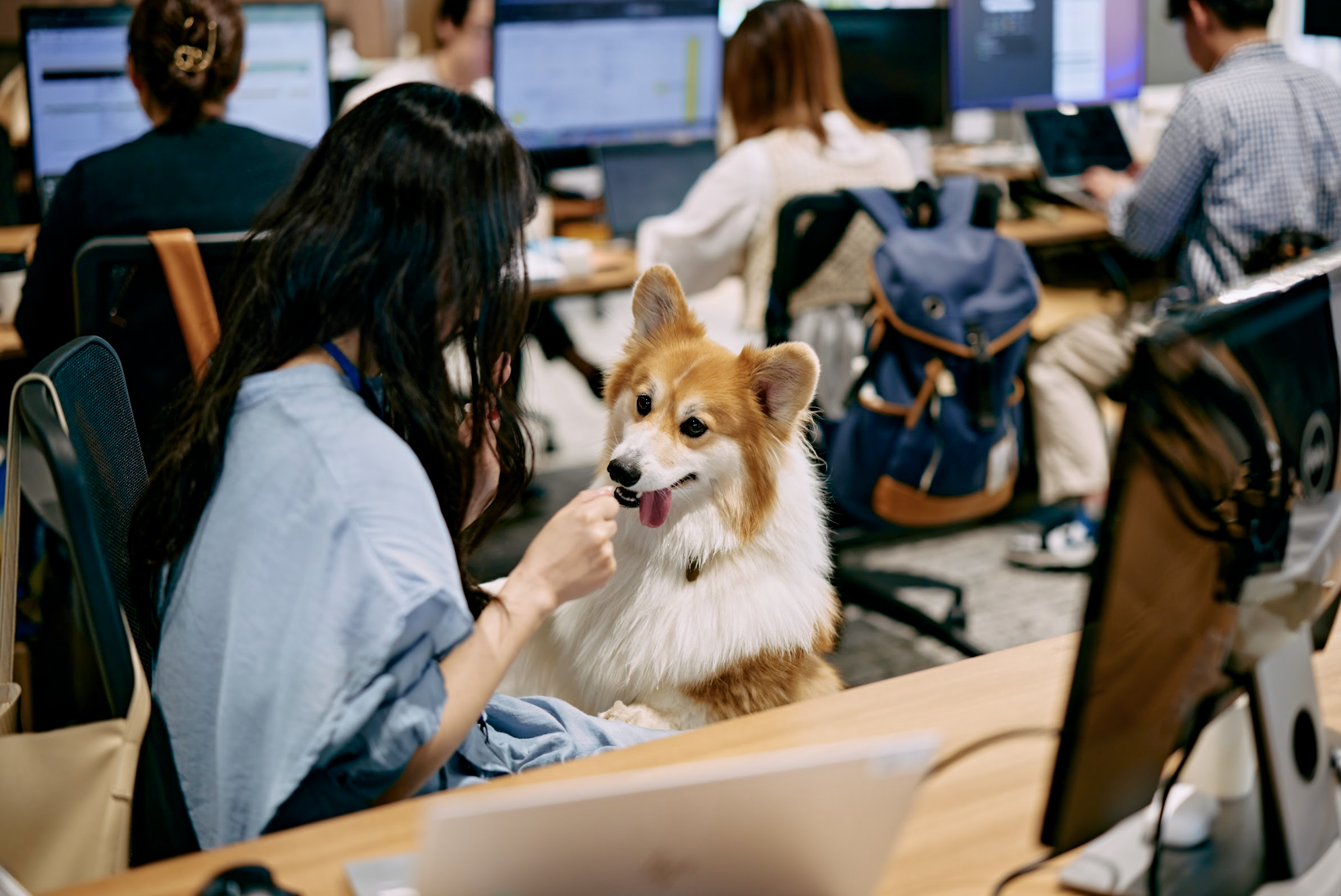 株式会社 バイオフィリアのイメージ画像2