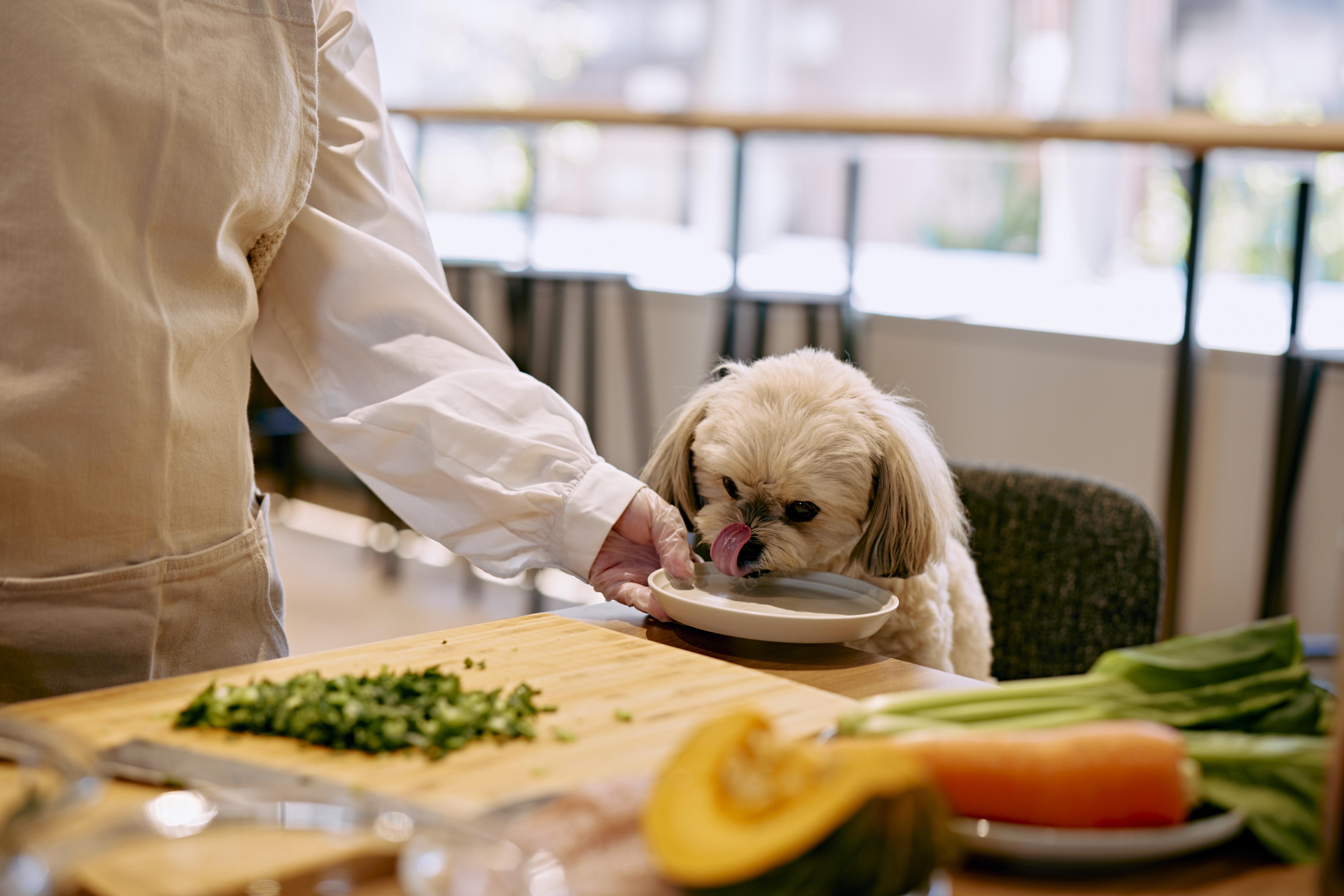 事業内容：ペット関連事業／インターネットサービス事業