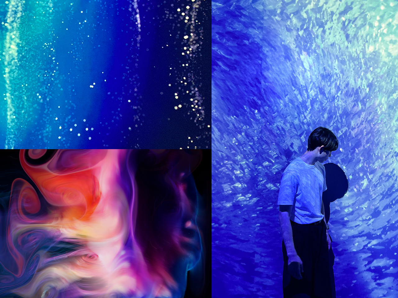 『AOAO SAPPORO』に展示される没入型デジタルアート「青く美しい海の世界」の空間演出、映像制作を含むコンテンツの企画・制作等を担当。