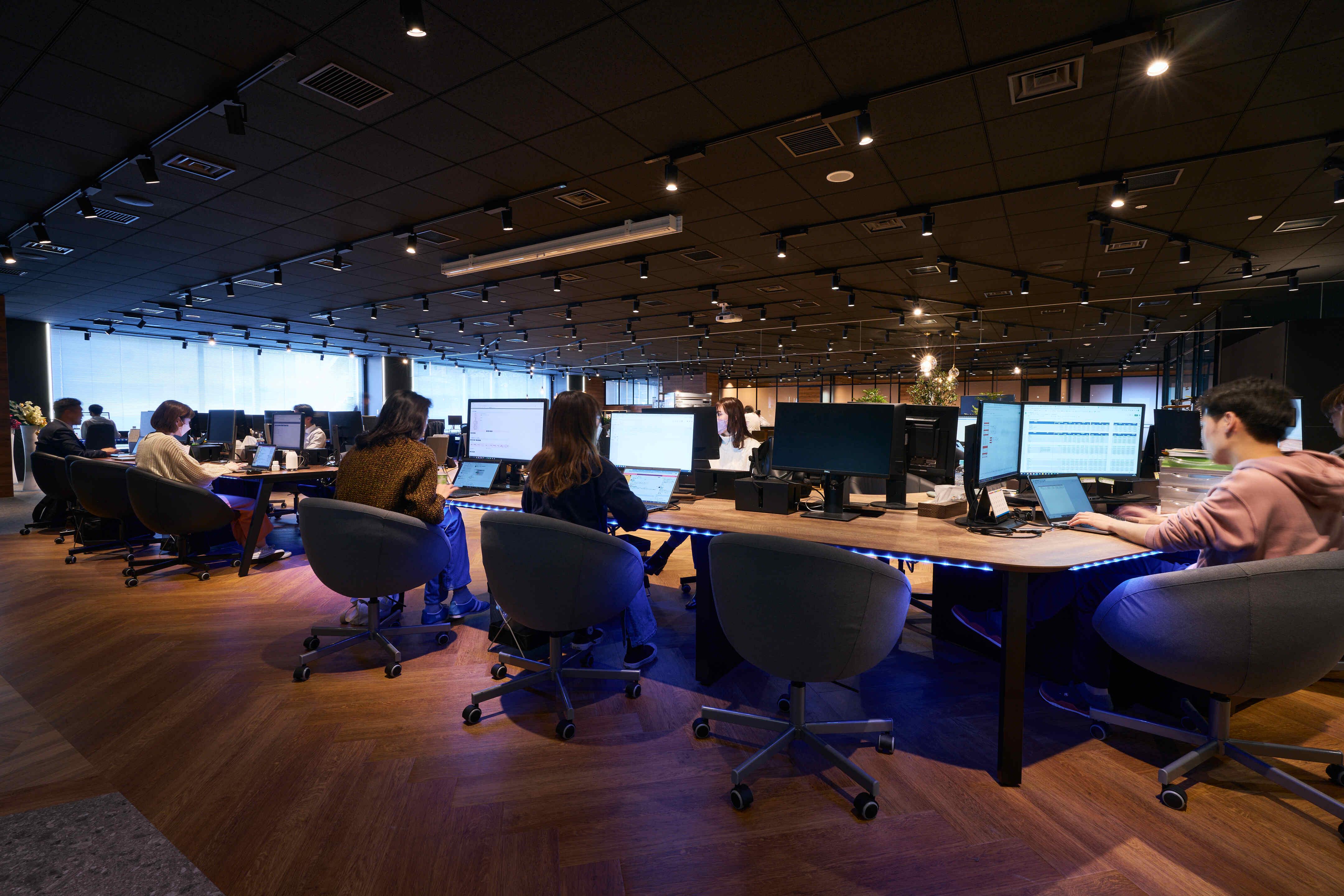 事業内容：当社グループの経営戦略の立案、及び子会社への投資、経営目標の立案・実行の支援