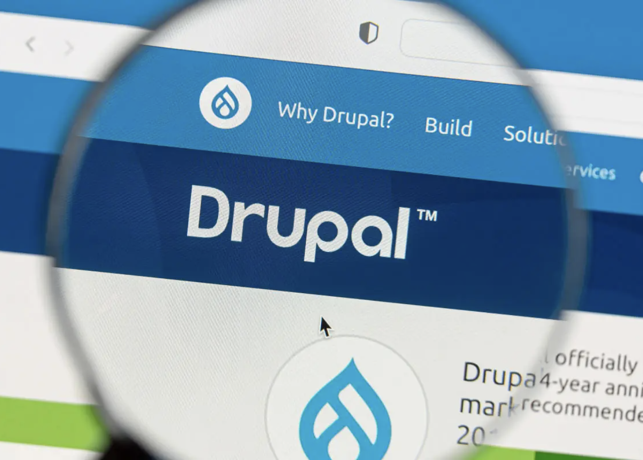 事業内容：Drupalサイト開発、Drupal導入支援、保守・運用 他