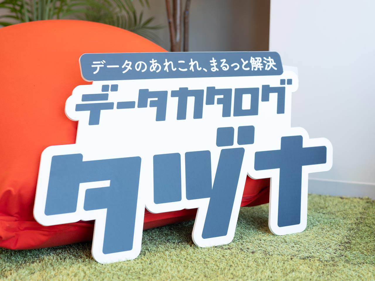 同社は、データ関連領域のソリューション事業とソフトウェア事業を展開する会社である。