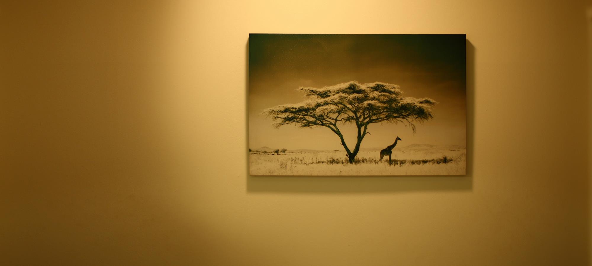 企業トップ画像