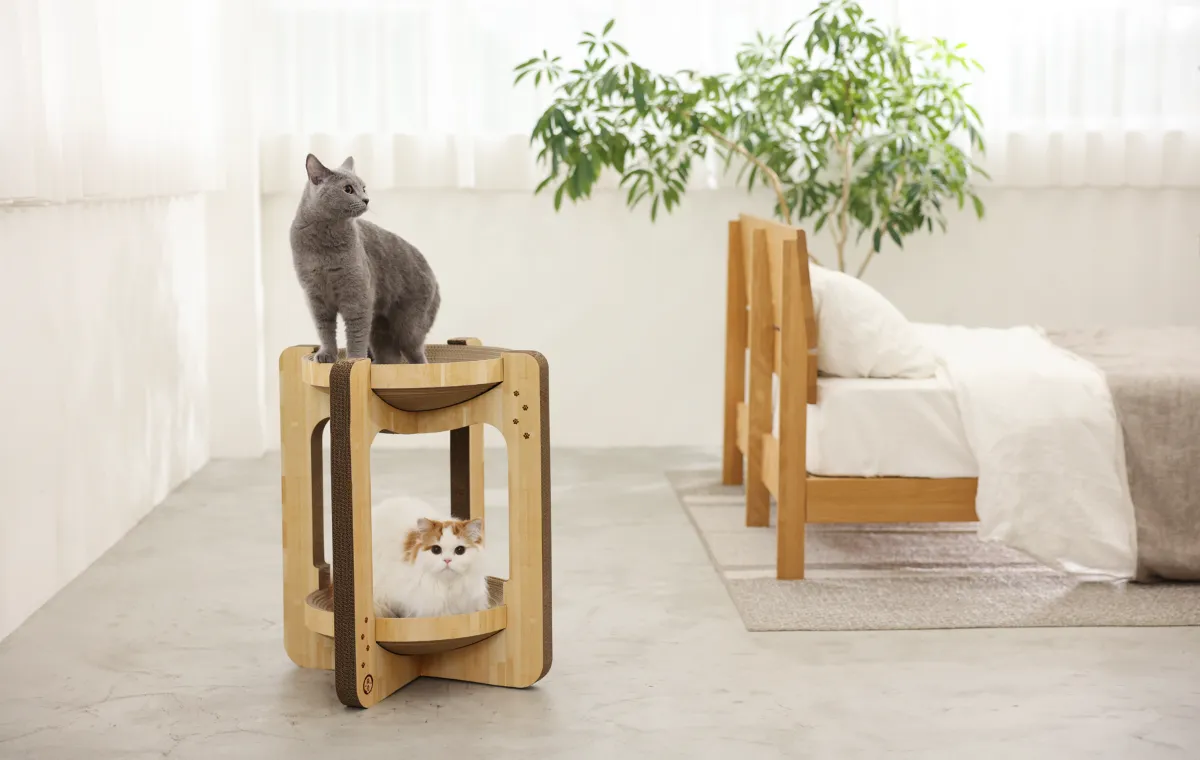 事業内容：猫壱