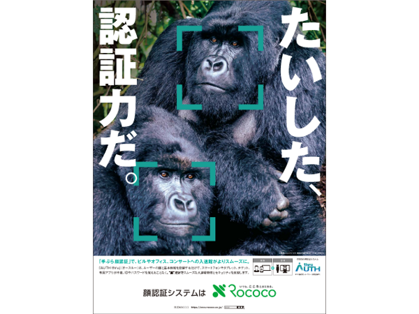 募集している求人：【開発エンジニア】WEBサイト・システム開発