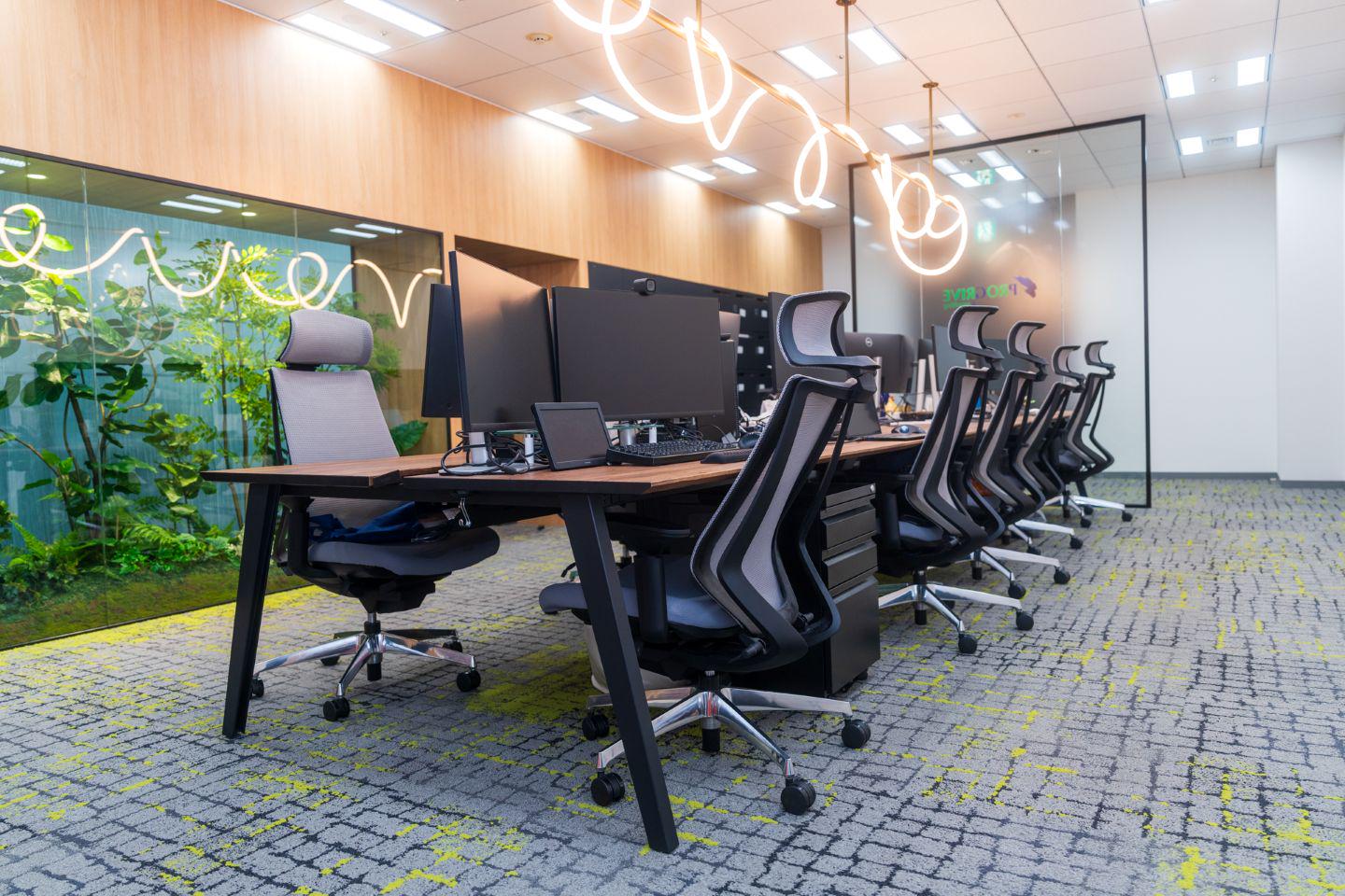 株式会社 プログライブコンサルティングのイメージ画像2