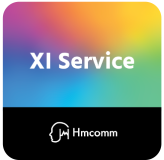 事業内容：XI Service事業