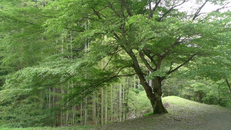 企業トップ画像