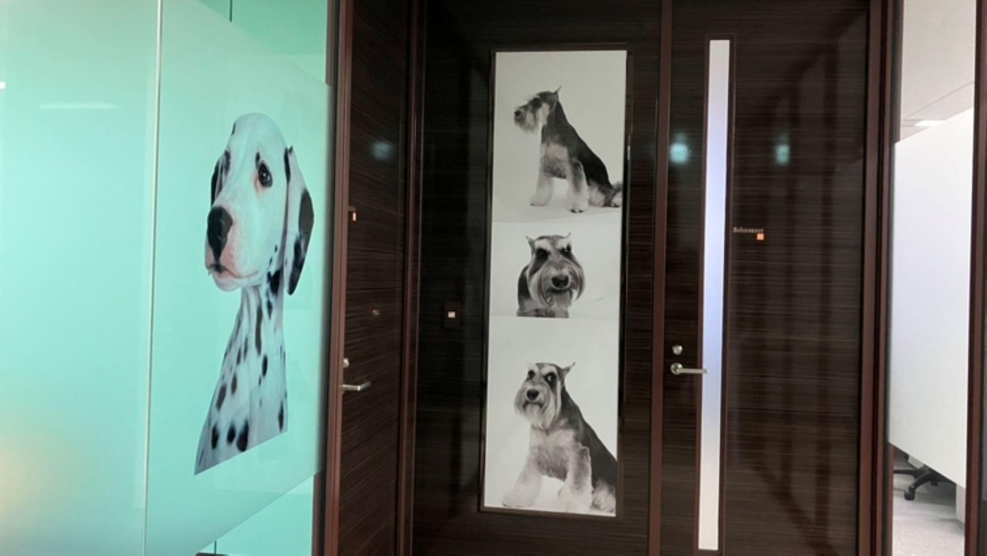 企業トップ画像