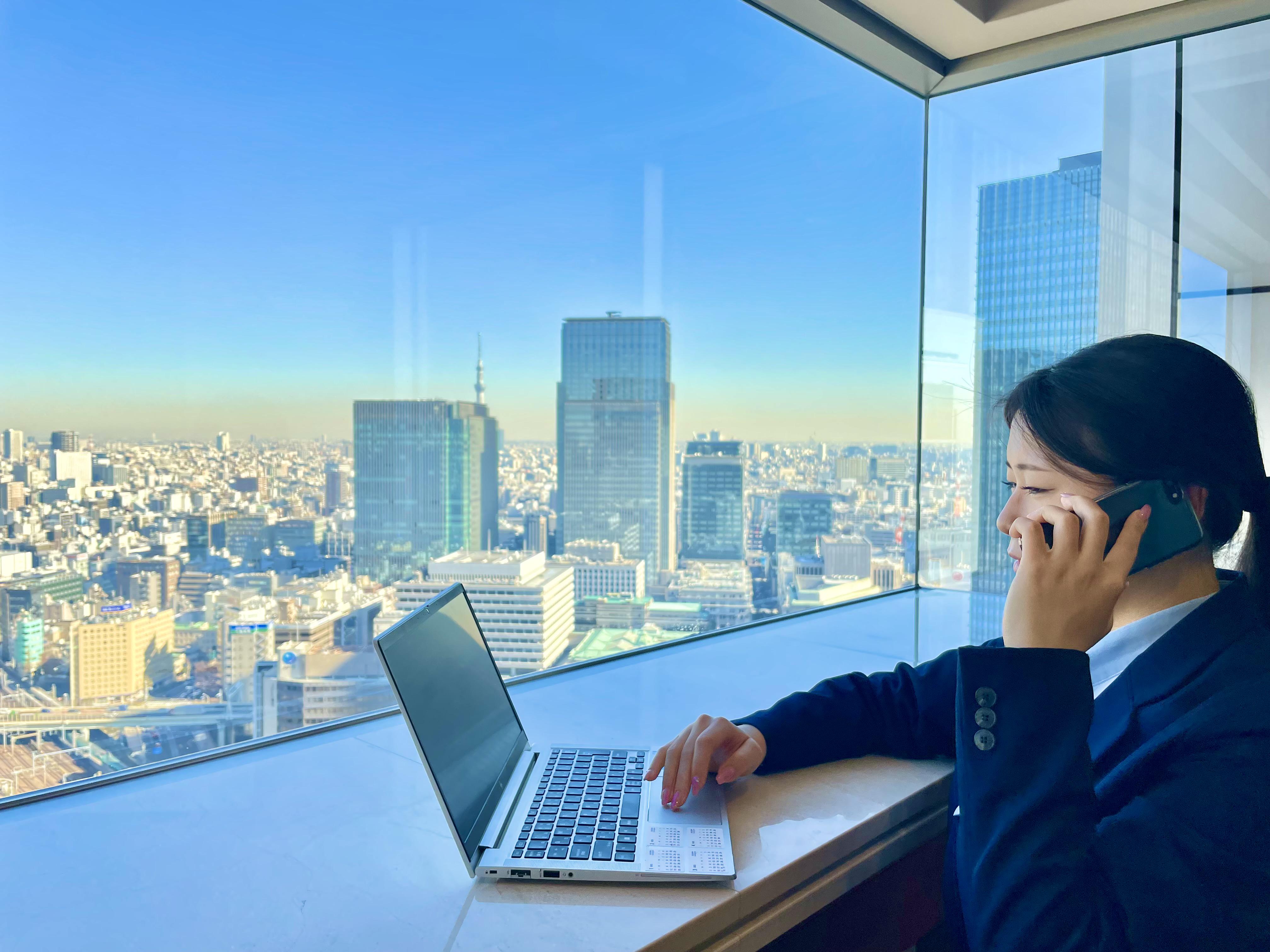 事業内容：システムインテグレーションサービス事業