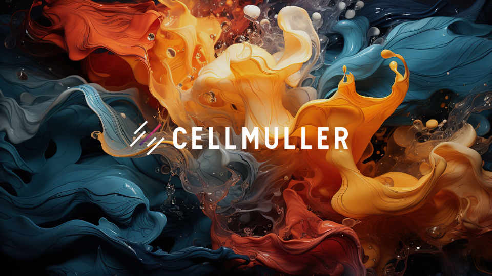 事業内容：空白地帯のないマーケティングの実現