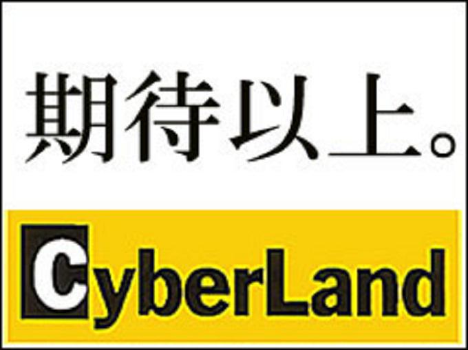 事業内容：マッチングサイトの運営、インターネット関連業務