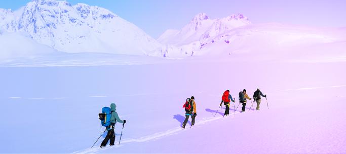 事業内容：財務ガバナンスやFP＆A導入における構想策定～実行支援