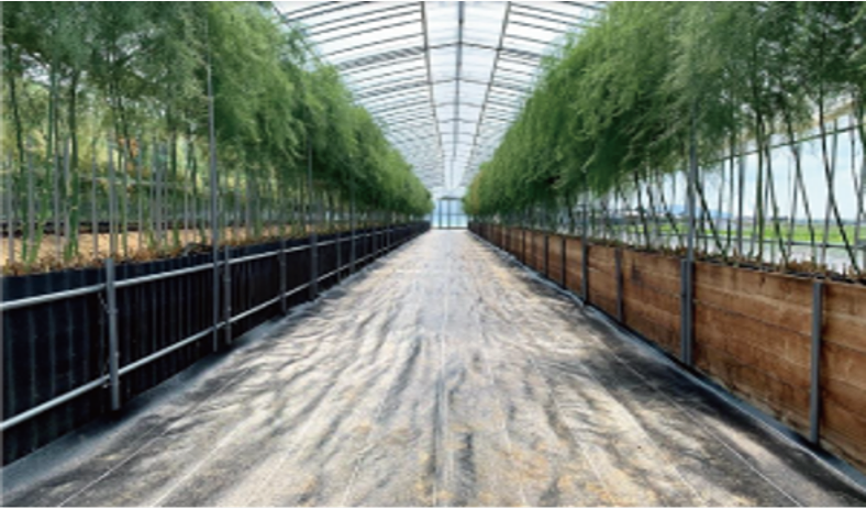 事業内容：農業参入支援事業