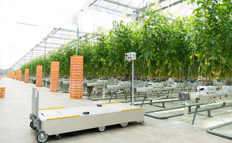 その強みは技術だけでなく、「導入ハードルの低さ」と「伴走体制」といったサービス面にもある。