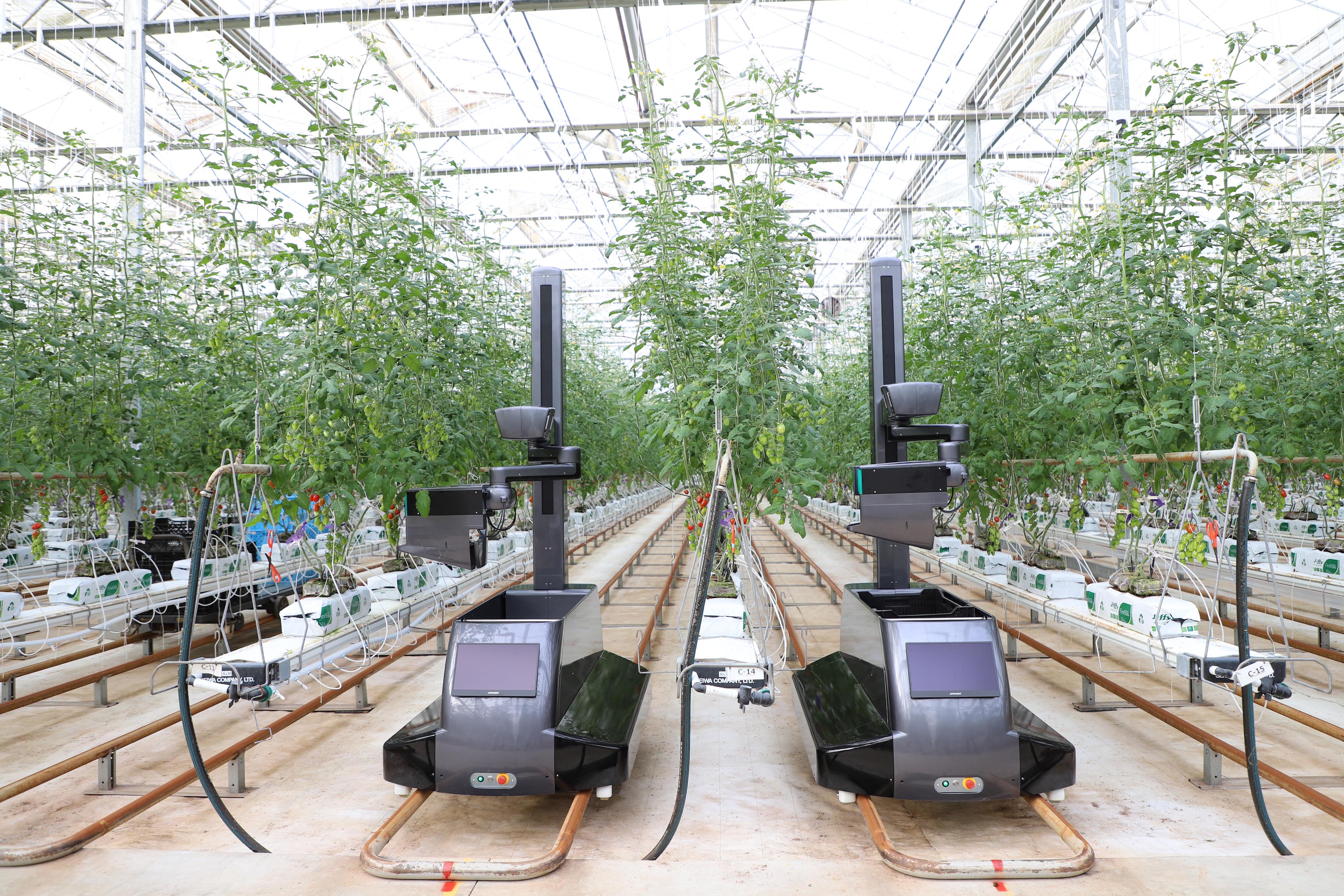 事業内容：AIロボティクス共同開発事業