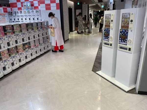 事業内容：トレオタ