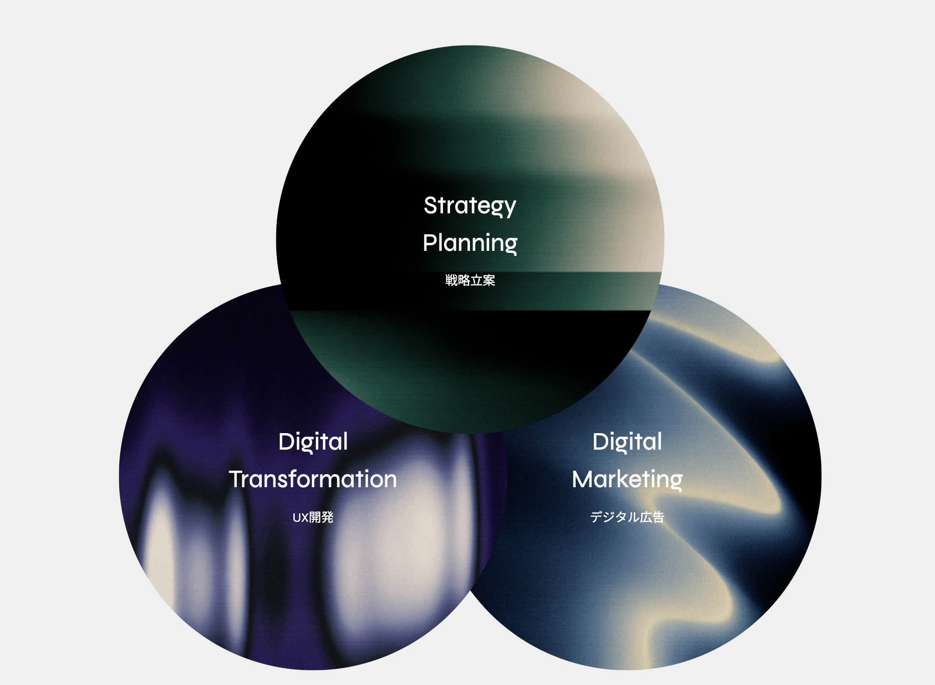 事業内容：SNS×最先端技術でグローバルに展開するマーケティング支援企業